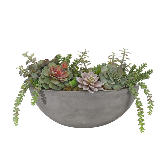 Succulent, Grey Mauve, Concrete Oval