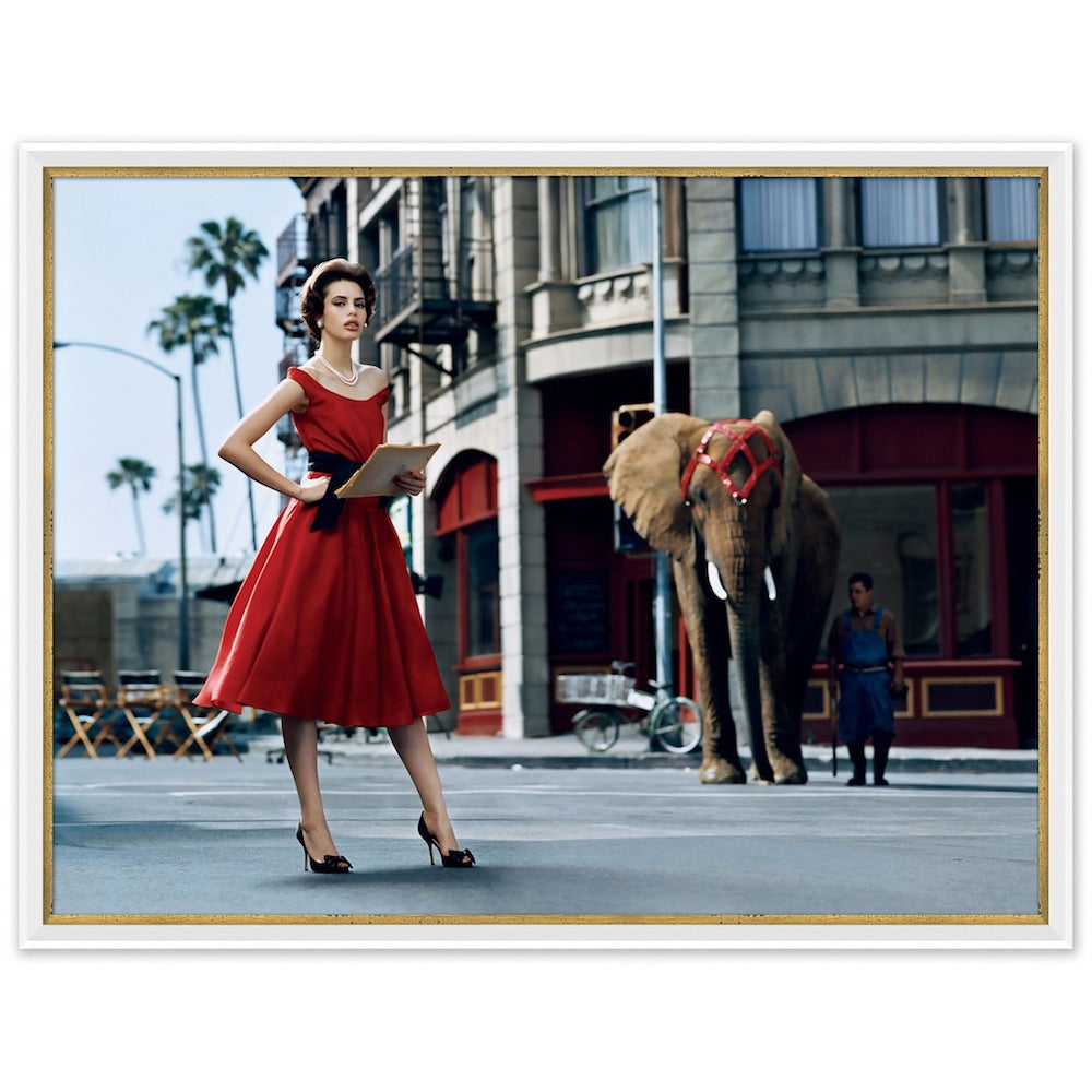 Glamour, "Model with Elephant", Kenneth Willardt, September 2005
