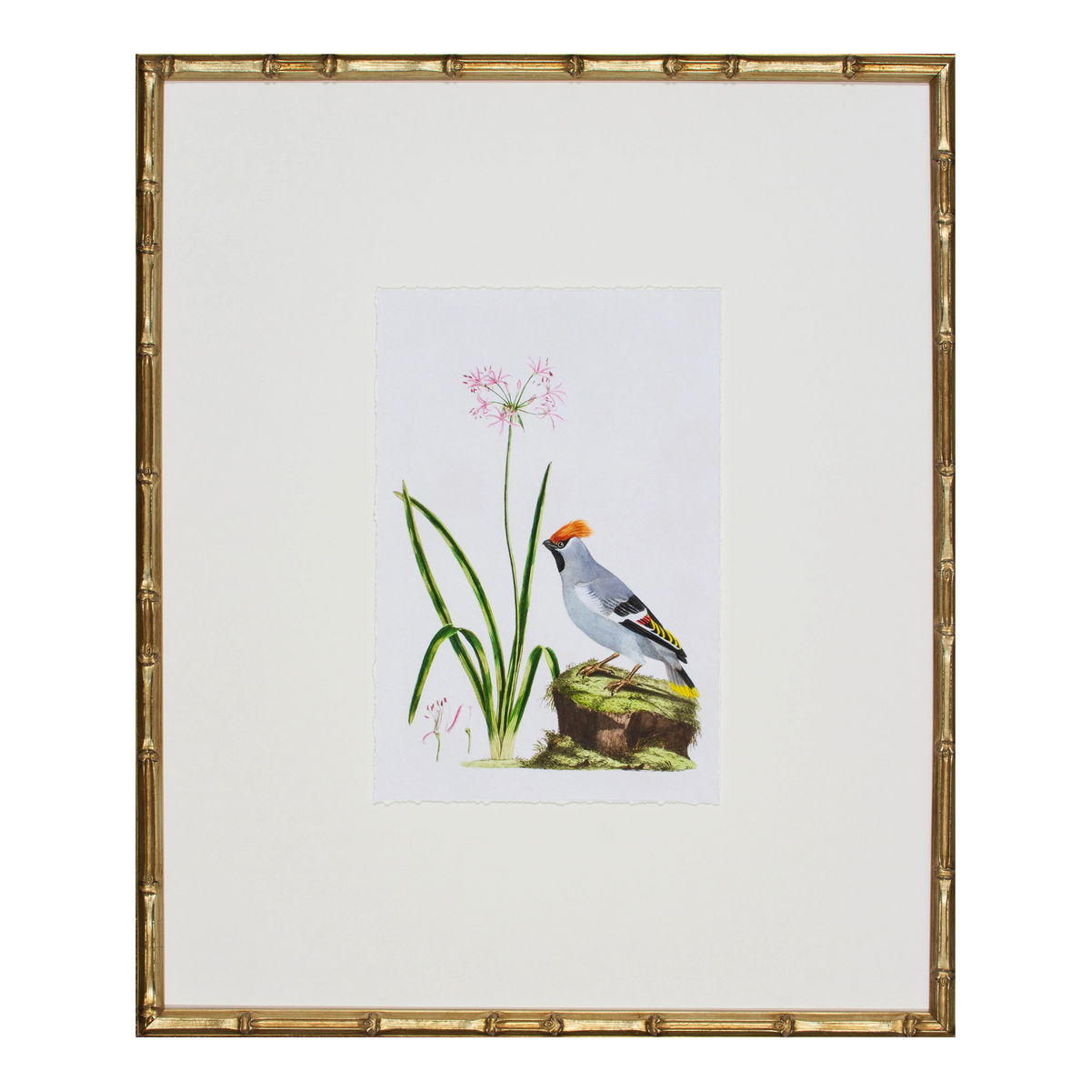 Bird Habitat Painting