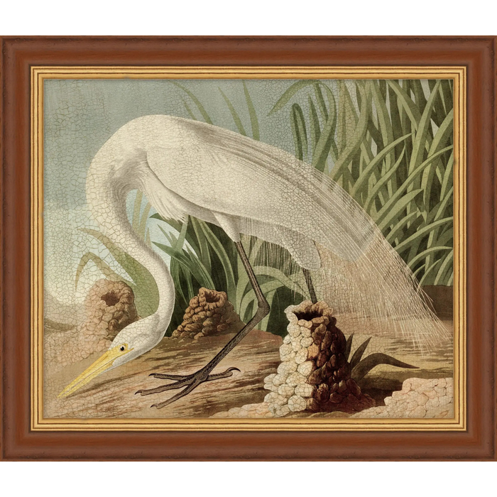 Egret Audubon 2 (Limited Edition Frame)