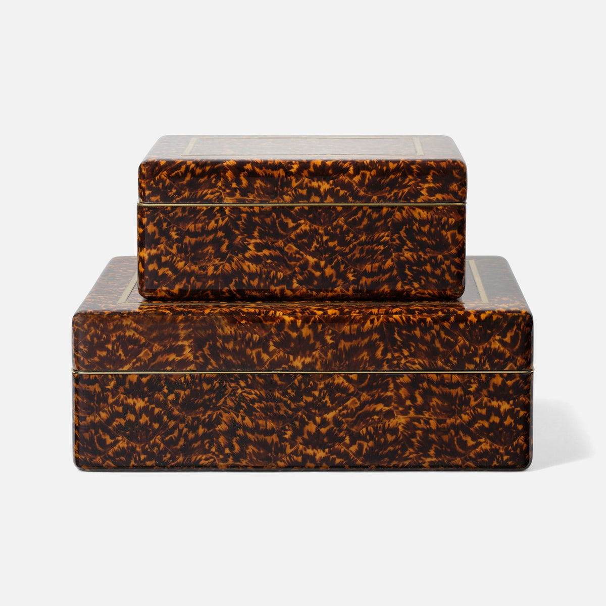 High-Gloss Faux Tortoise Box Set