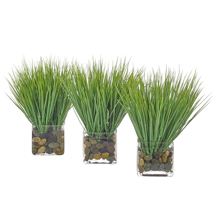 Grass | Set of 3