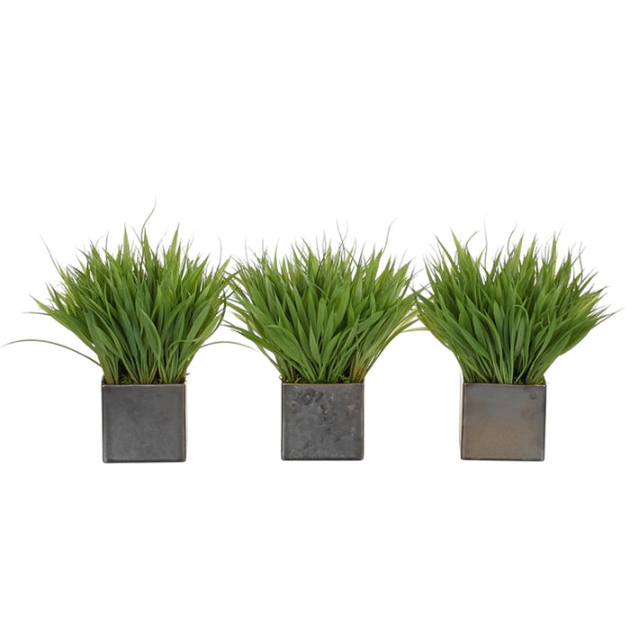 Grass | Set of 3