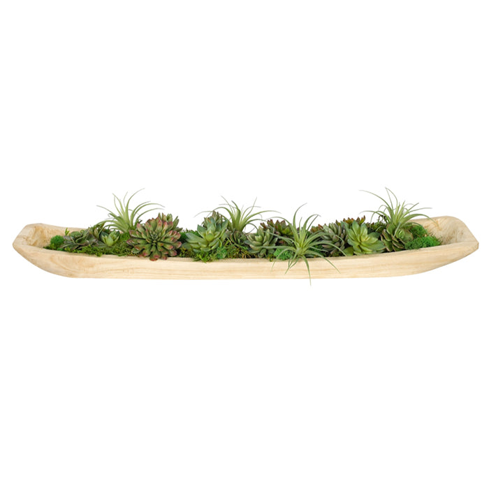 Succulent, Green Mauve, Wood Trough