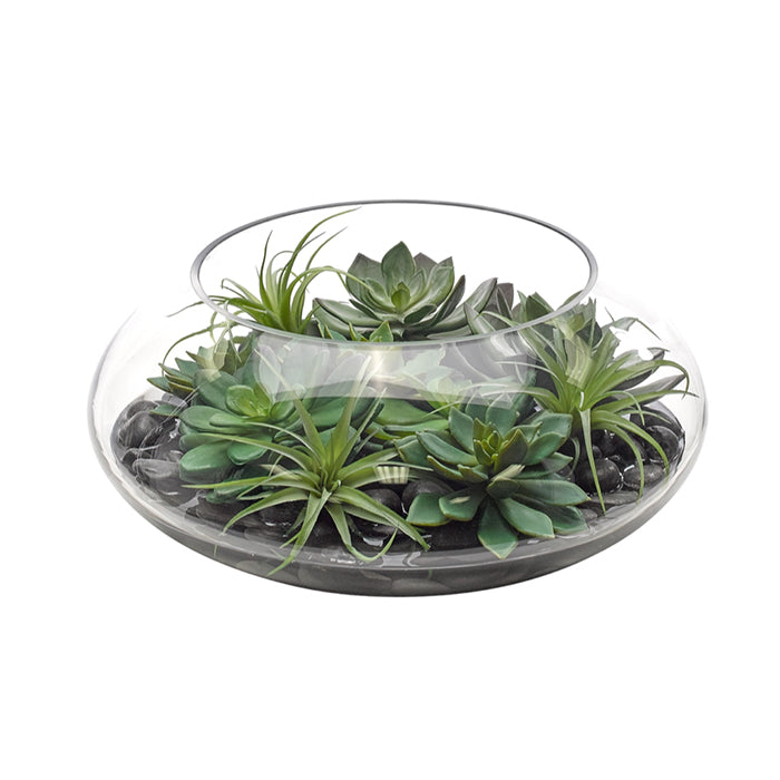 Succulent, Green Grey, Glass Bowl